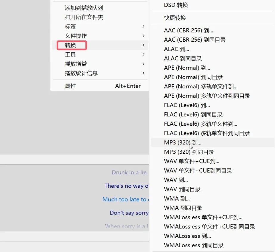 音频格式转换示意